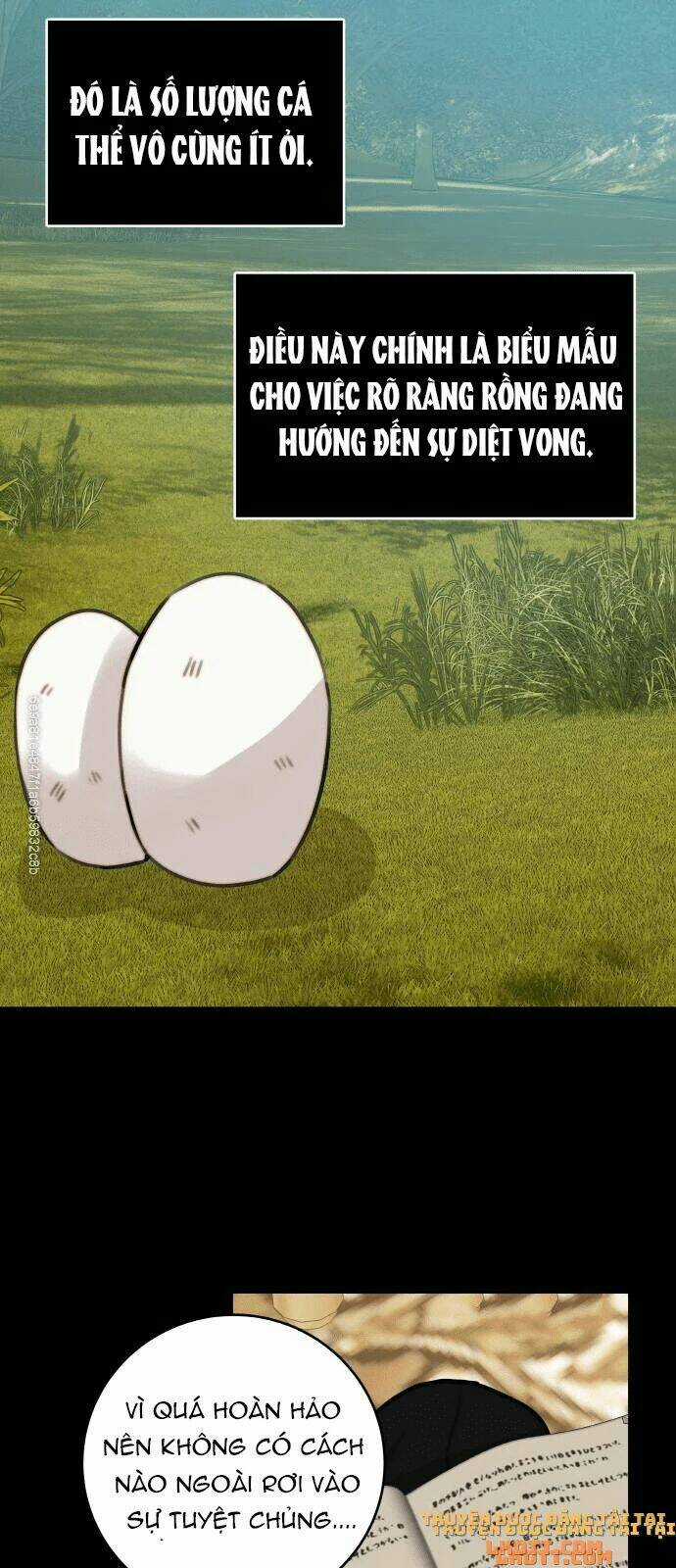 Nhật Ký Tuần Trăng Mật Của Phù Thủy Và Rồng Chapter 12 trang 29