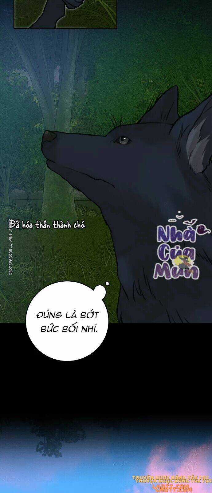 Nhật Ký Tuần Trăng Mật Của Phù Thủy Và Rồng Chapter 12 trang 46