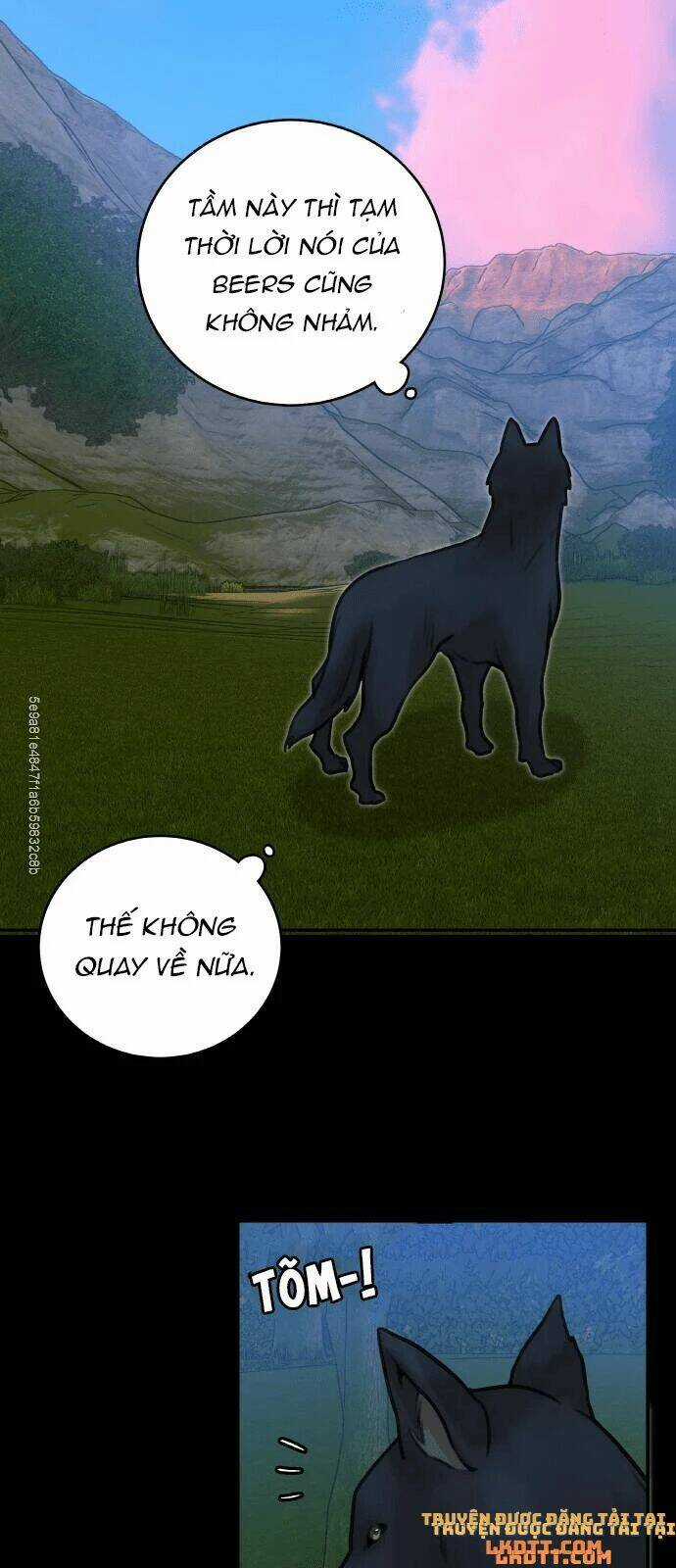 Nhật Ký Tuần Trăng Mật Của Phù Thủy Và Rồng Chapter 12 trang 47