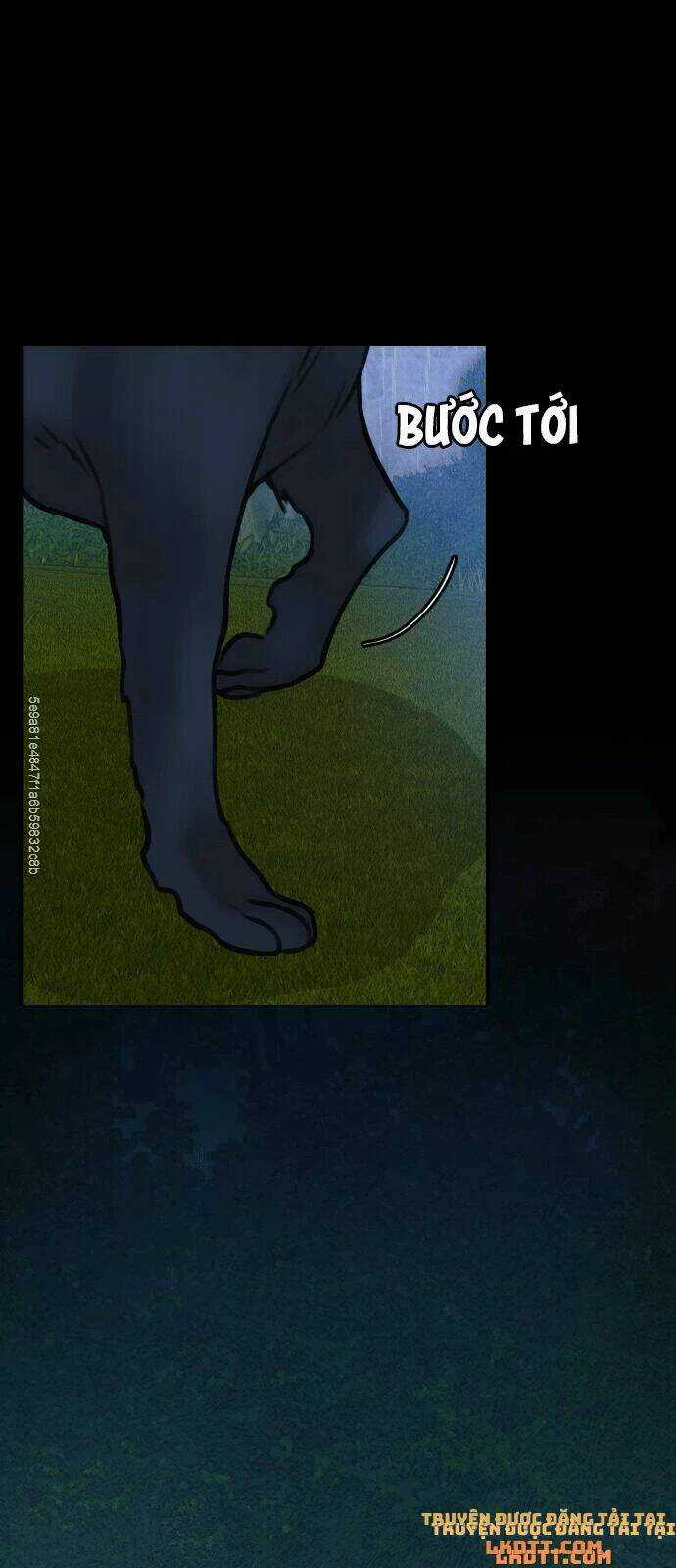 Nhật Ký Tuần Trăng Mật Của Phù Thủy Và Rồng Chapter 12 trang 49