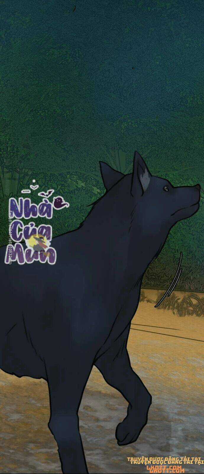 Nhật Ký Tuần Trăng Mật Của Phù Thủy Và Rồng Chapter 12 trang 50