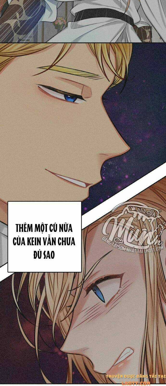 Nhật Ký Tuần Trăng Mật Của Phù Thủy Và Rồng Chapter 37 trang 1