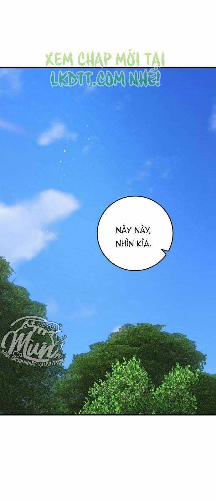 Nhật Ký Tuần Trăng Mật Của Phù Thủy Và Rồng Chapter 40 trang 0