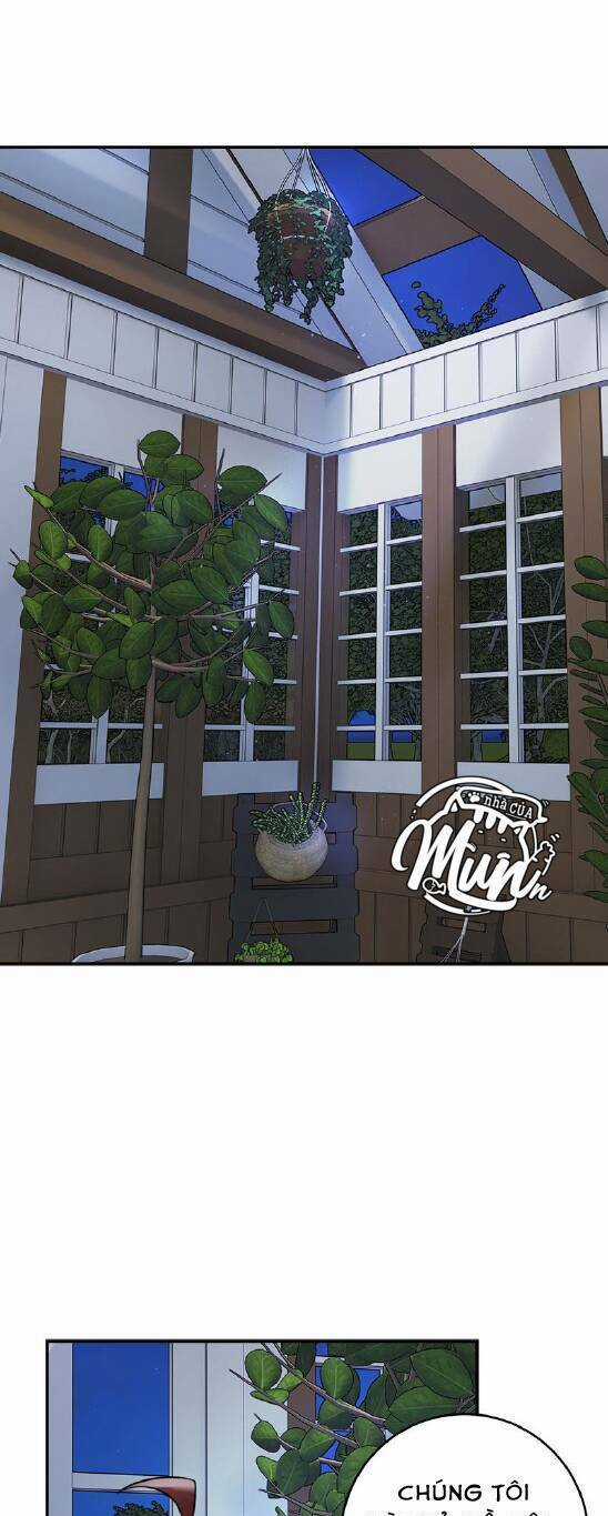 Nhật Ký Tuần Trăng Mật Của Phù Thủy Và Rồng Chapter 82 trang 0