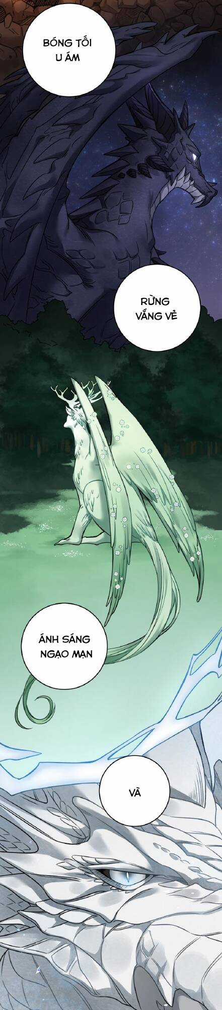 Nhật Ký Tuần Trăng Mật Của Phù Thủy Và Rồng Chapter 84 trang 35