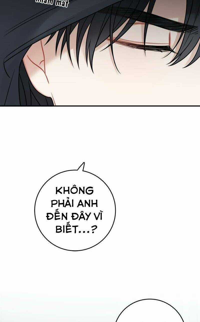 Nhật Ký Tuần Trăng Mật Của Phù Thủy Và Rồng Chapter 90 trang 29