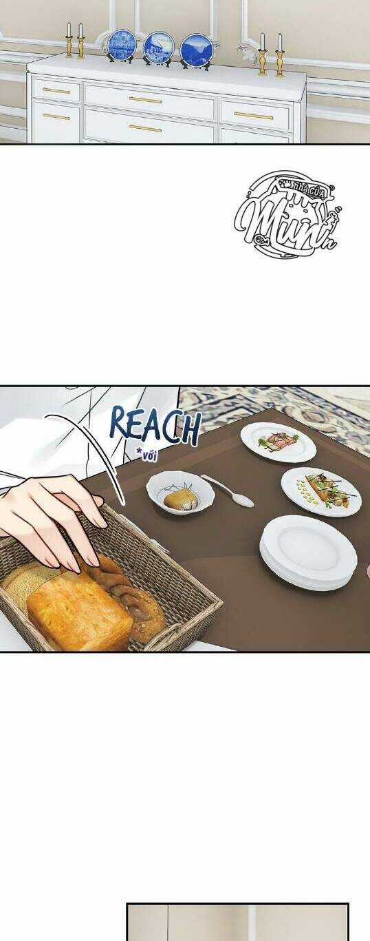 Nhật Ký Tuần Trăng Mật Của Phù Thủy Và Rồng Chapter 91 trang 15