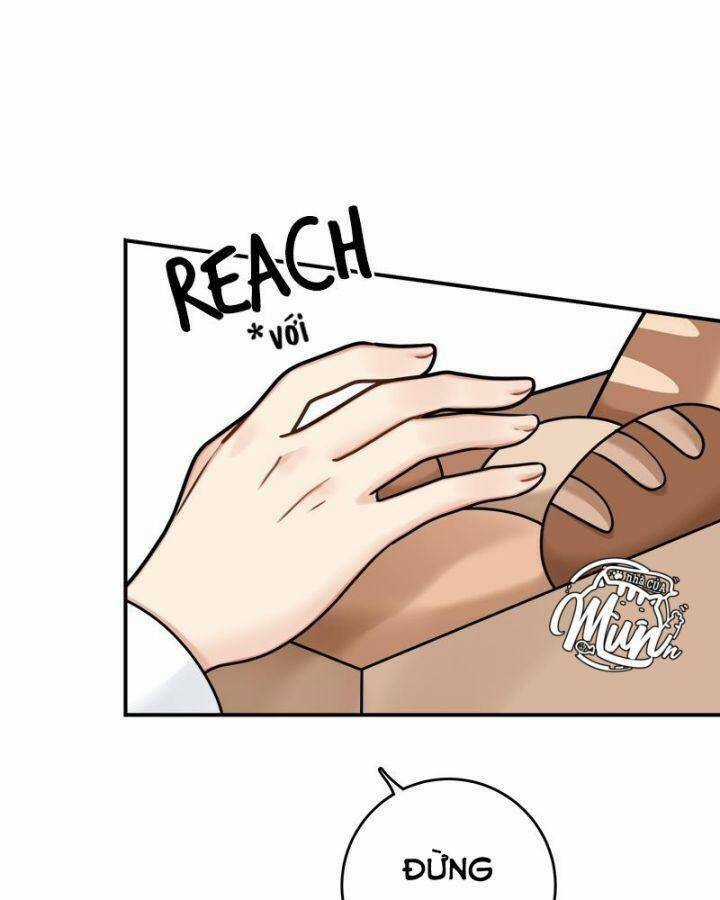 Nhật Ký Tuần Trăng Mật Của Phù Thủy Và Rồng Chapter 94 trang 77