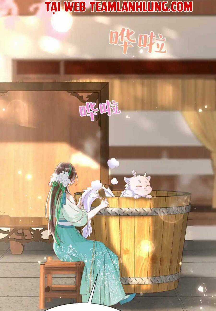 Nhặt Nuôi Phu Quân Chapter 10 trang 13