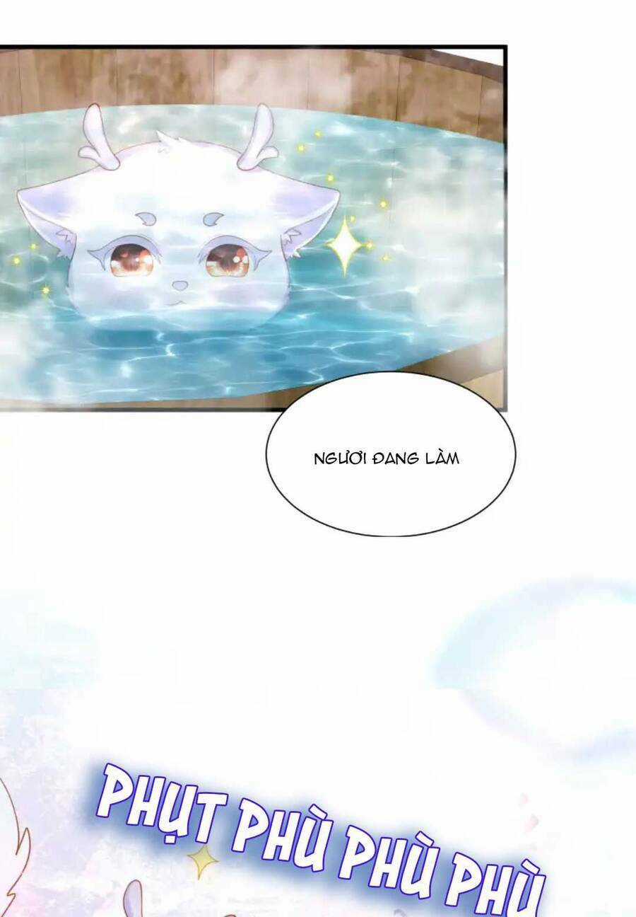 Nhặt Nuôi Phu Quân Chapter 10 trang 15