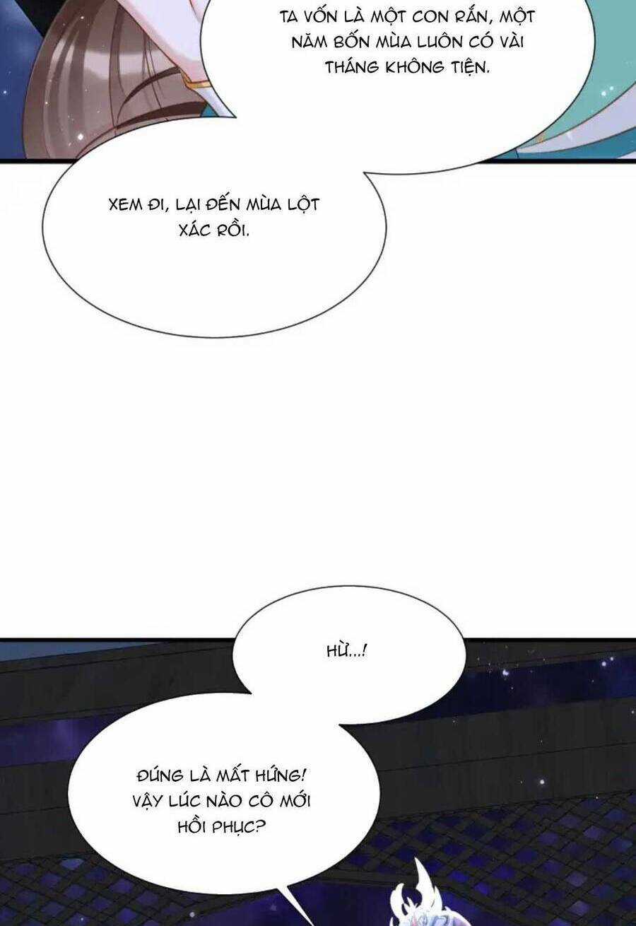 Nhặt Nuôi Phu Quân Chapter 12 trang 3