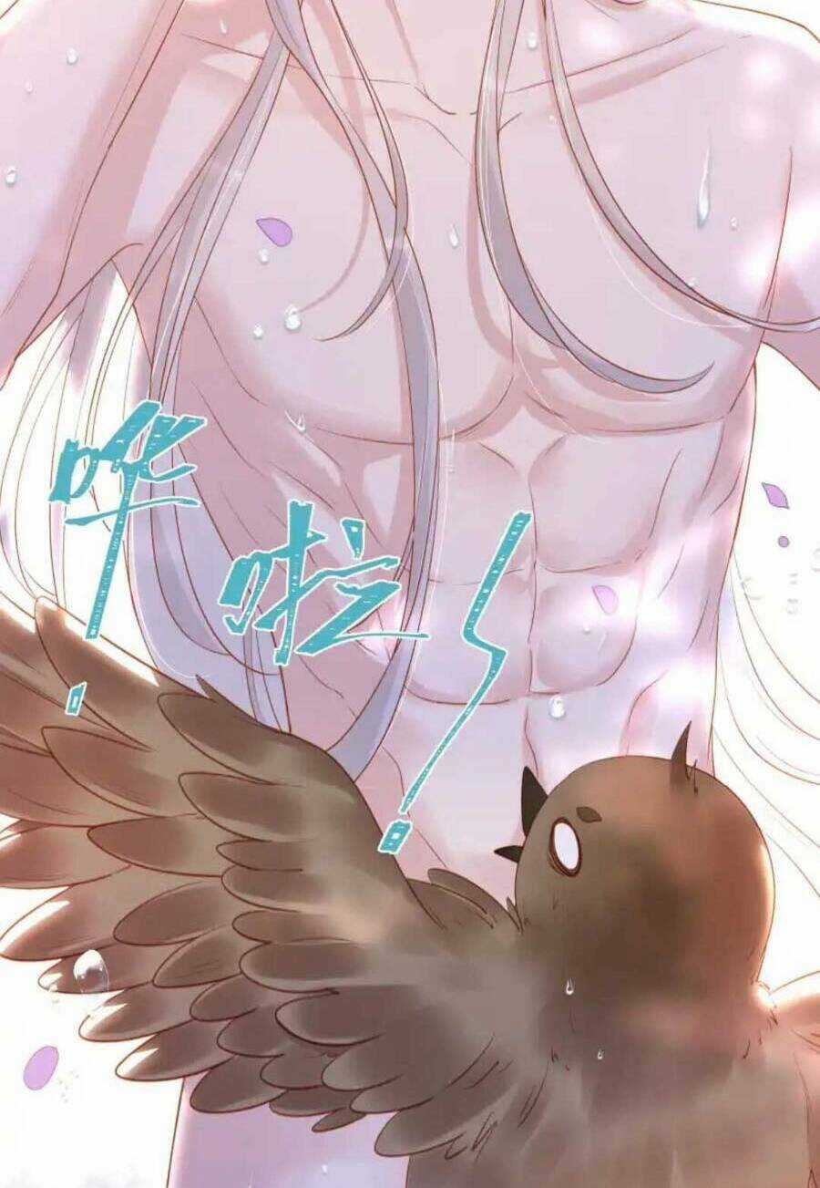 Nhặt Nuôi Phu Quân Chapter 13 trang 22