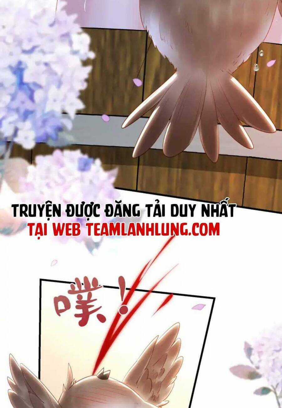 Nhặt Nuôi Phu Quân Chapter 13 trang 23