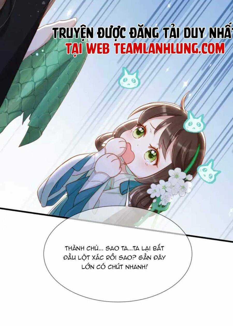 Nhặt Nuôi Phu Quân Chapter 13 trang 33