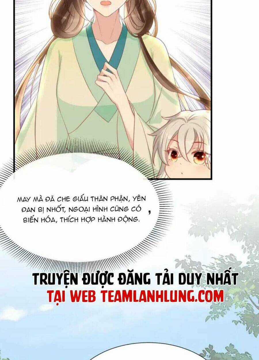 Nhặt Nuôi Phu Quân Chapter 7 trang 5