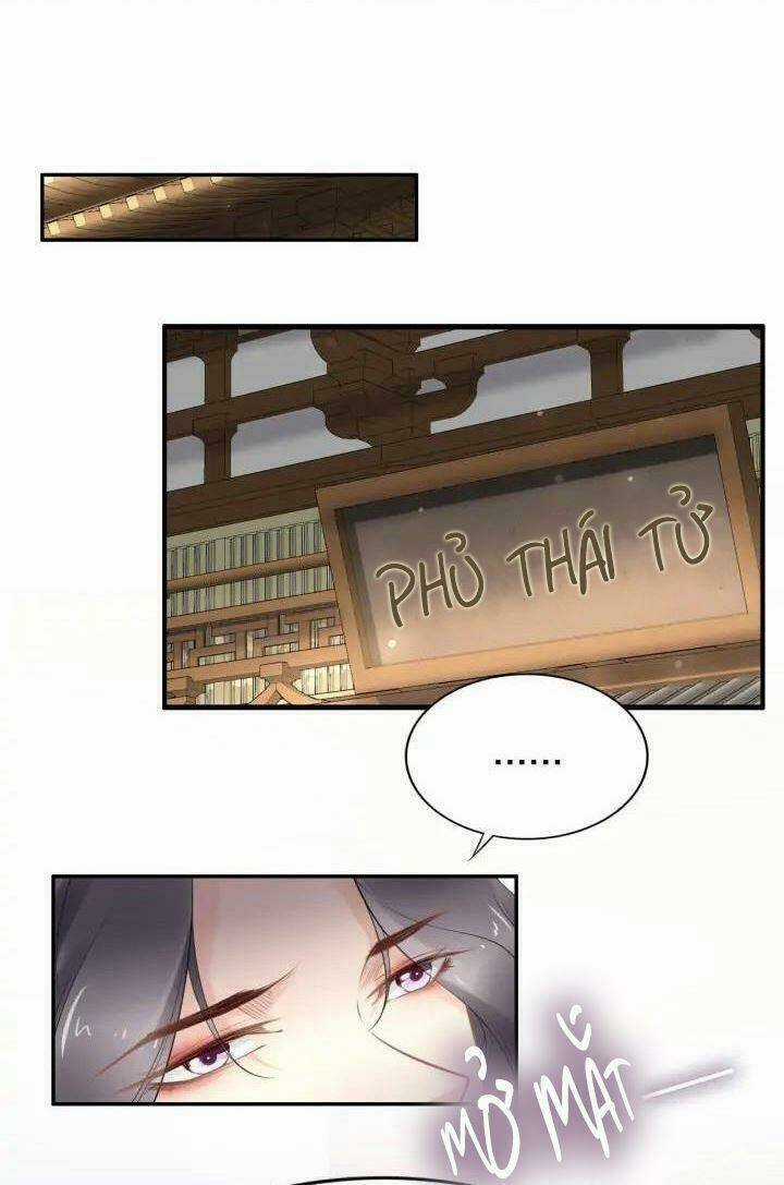 Nhất Sinh Nhất Thế Tiếu Thương Khung Chapter 105 trang 11