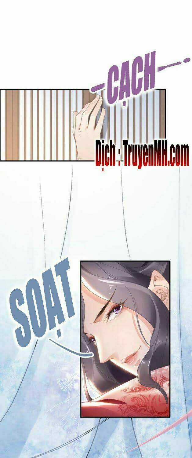 Nhất Sinh Nhất Thế Tiếu Thương Khung Chapter 12 trang 11