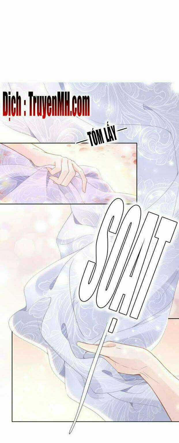 Nhất Sinh Nhất Thế Tiếu Thương Khung Chapter 12 trang 15