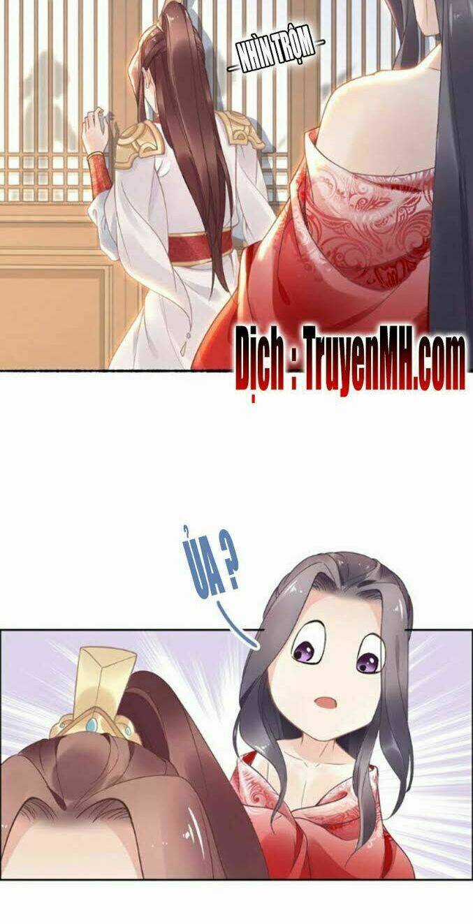 Nhất Sinh Nhất Thế Tiếu Thương Khung Chapter 12 trang 3