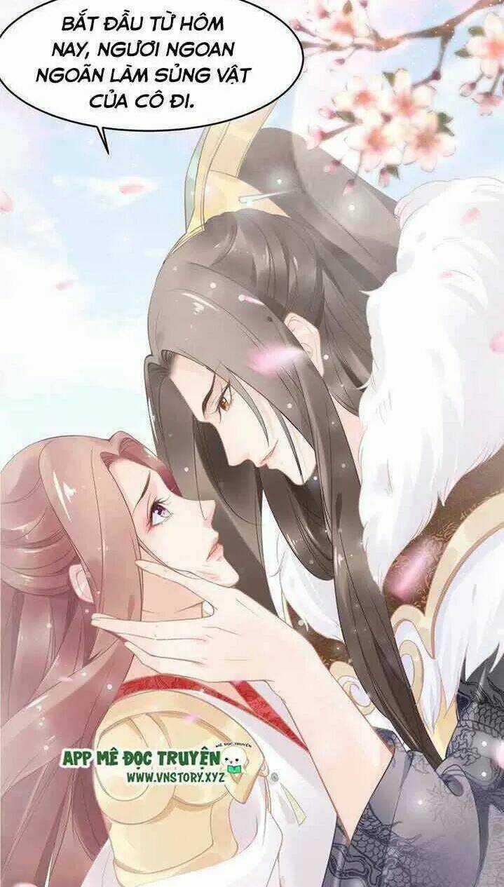 Nhất Sinh Nhất Thế Tiếu Thương Khung Chapter 14 trang 53