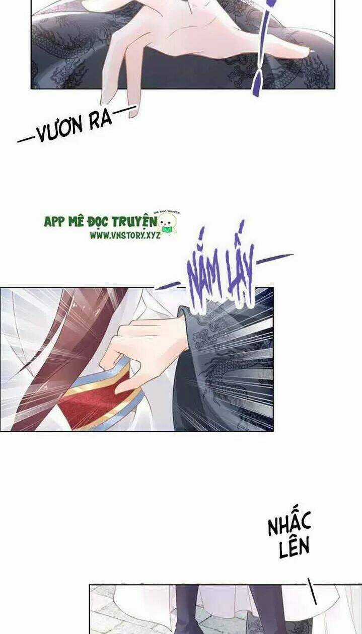 Nhất Sinh Nhất Thế Tiếu Thương Khung Chapter 15 trang 14