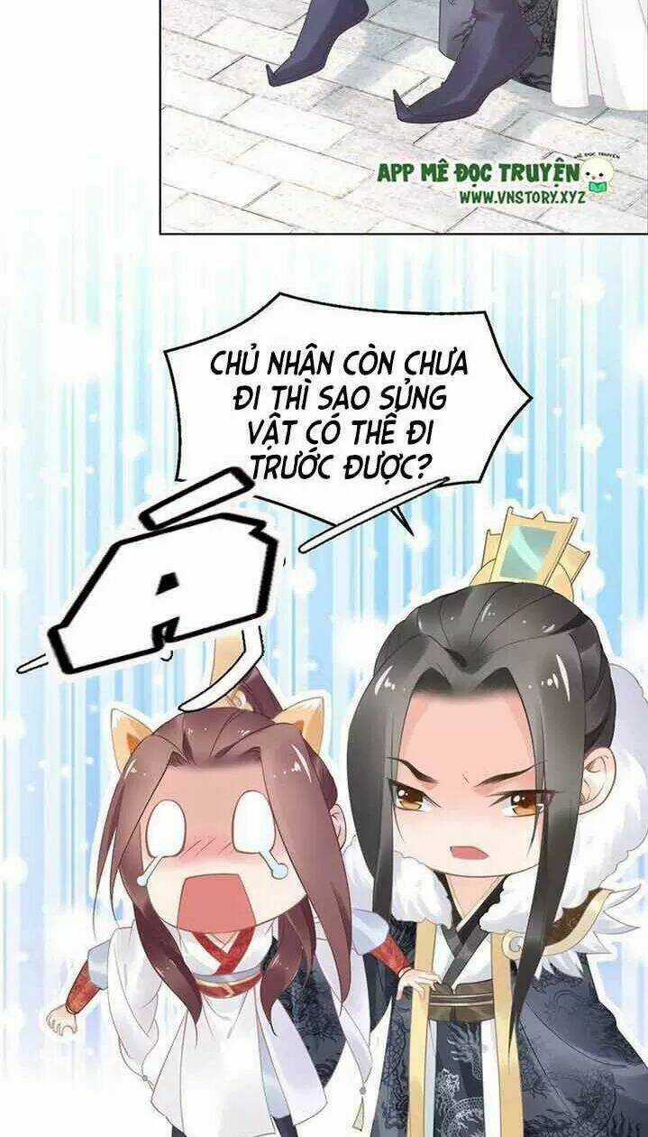 Nhất Sinh Nhất Thế Tiếu Thương Khung Chapter 15 trang 15