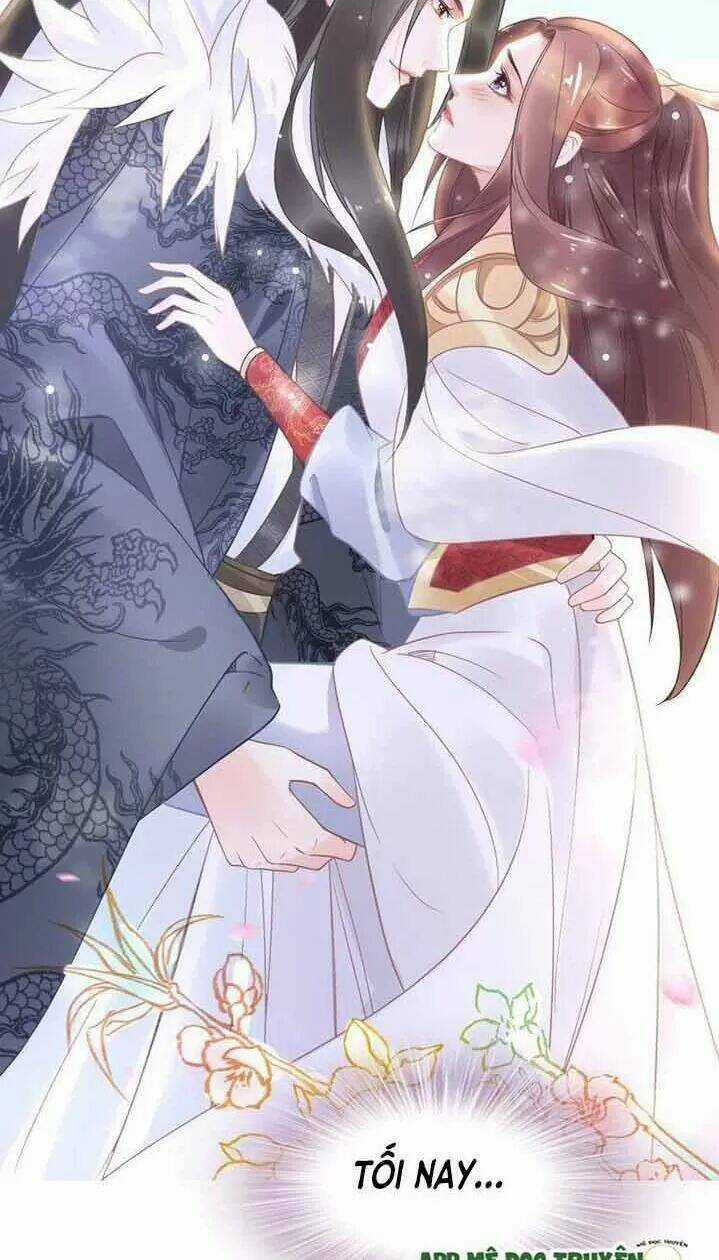 Nhất Sinh Nhất Thế Tiếu Thương Khung Chapter 15 trang 5