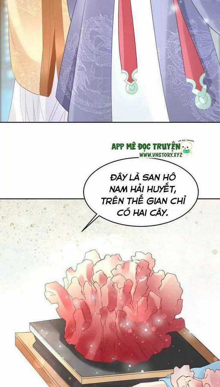 Nhất Sinh Nhất Thế Tiếu Thương Khung Chapter 16 trang 3