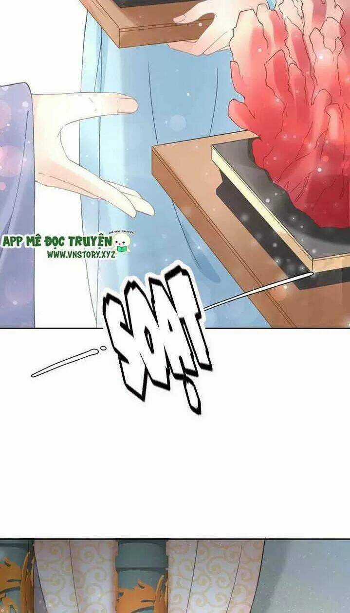 Nhất Sinh Nhất Thế Tiếu Thương Khung Chapter 16 trang 4