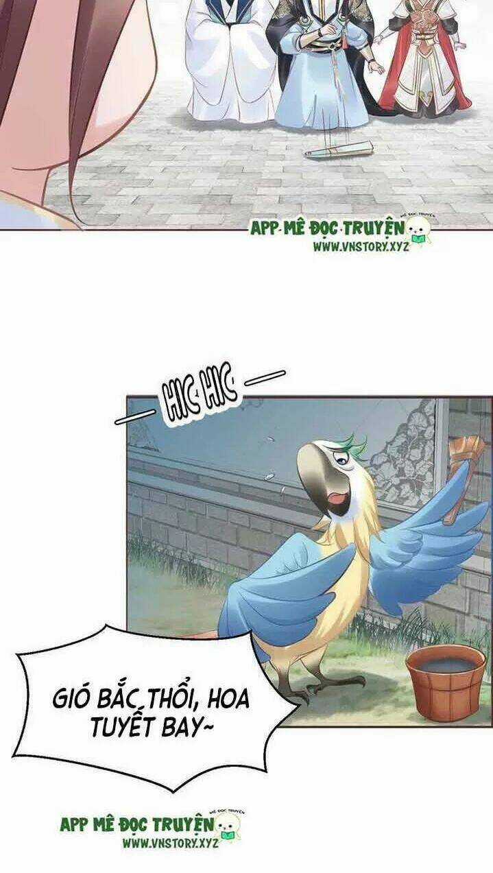 Nhất Sinh Nhất Thế Tiếu Thương Khung Chapter 20 trang 30