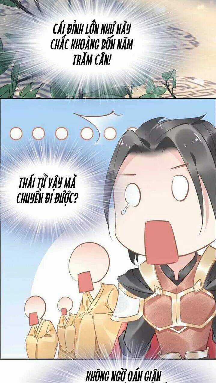 Nhất Sinh Nhất Thế Tiếu Thương Khung Chapter 23 trang 11