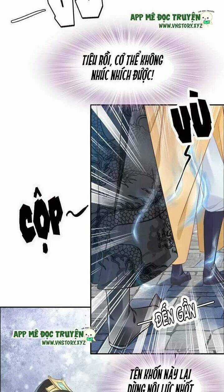 Nhất Sinh Nhất Thế Tiếu Thương Khung Chapter 24 trang 14