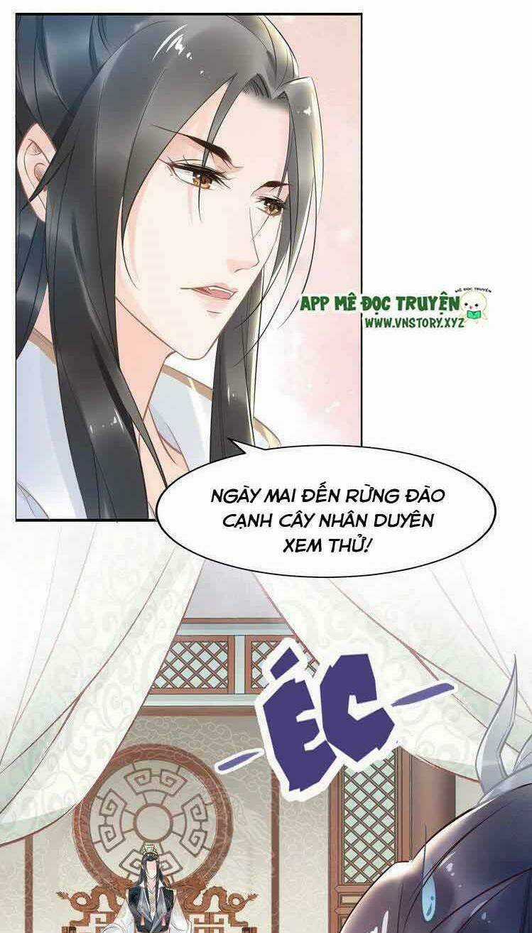 Nhất Sinh Nhất Thế Tiếu Thương Khung Chapter 28 trang 15
