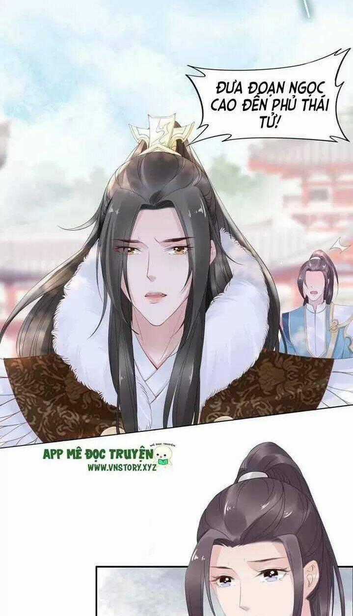 Nhất Sinh Nhất Thế Tiếu Thương Khung Chapter 41 trang 1
