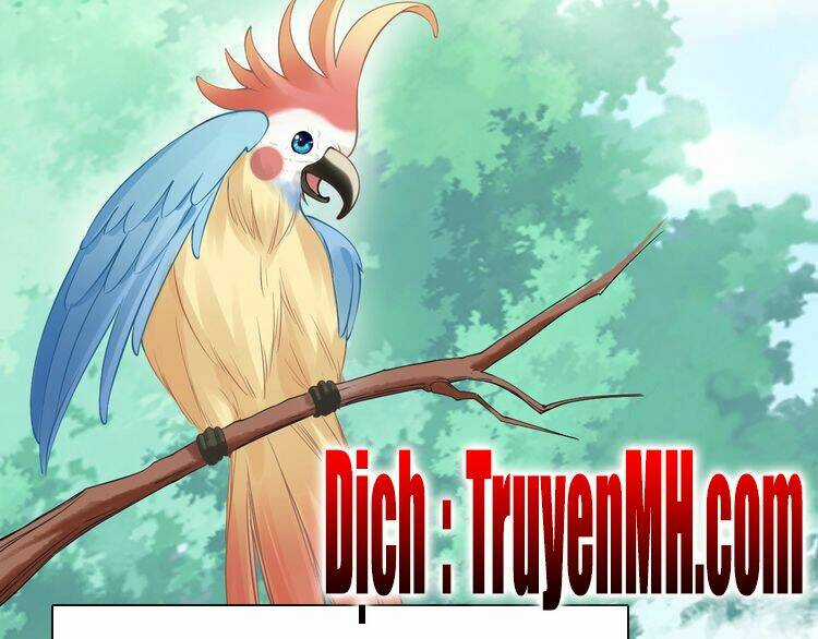 Nhất Sinh Nhất Thế Tiếu Thương Khung Chapter 6 trang 32