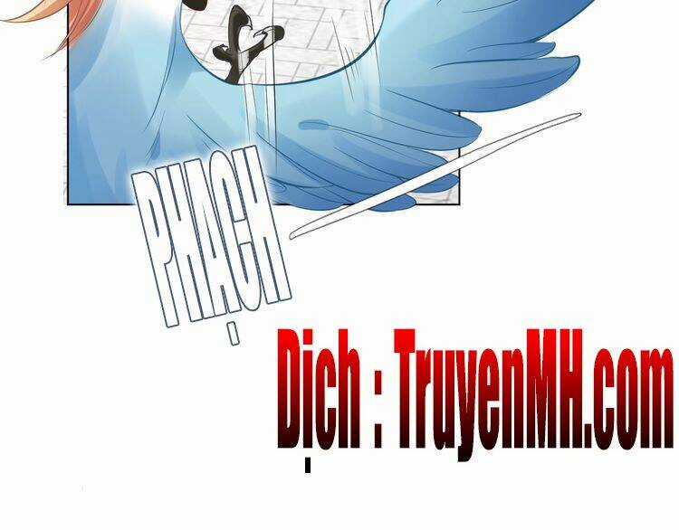 Nhất Sinh Nhất Thế Tiếu Thương Khung Chapter 6 trang 43