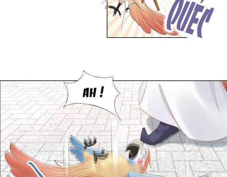 Nhất Sinh Nhất Thế Tiếu Thương Khung Chapter 6 trang 48