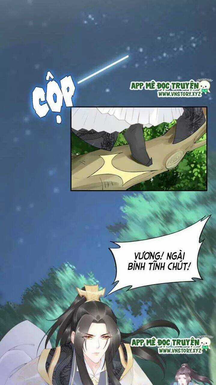 Nhất Sinh Nhất Thế Tiếu Thương Khung Chapter 62 trang 11