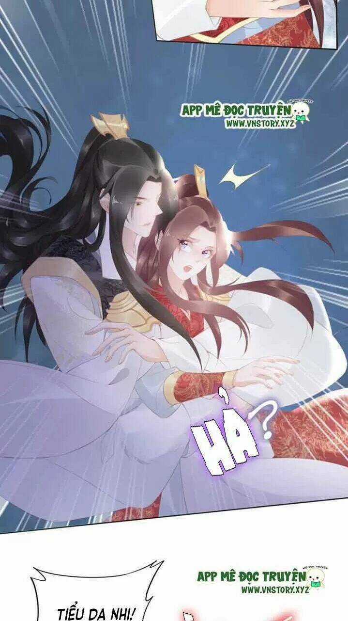 Nhất Sinh Nhất Thế Tiếu Thương Khung Chapter 62 trang 14