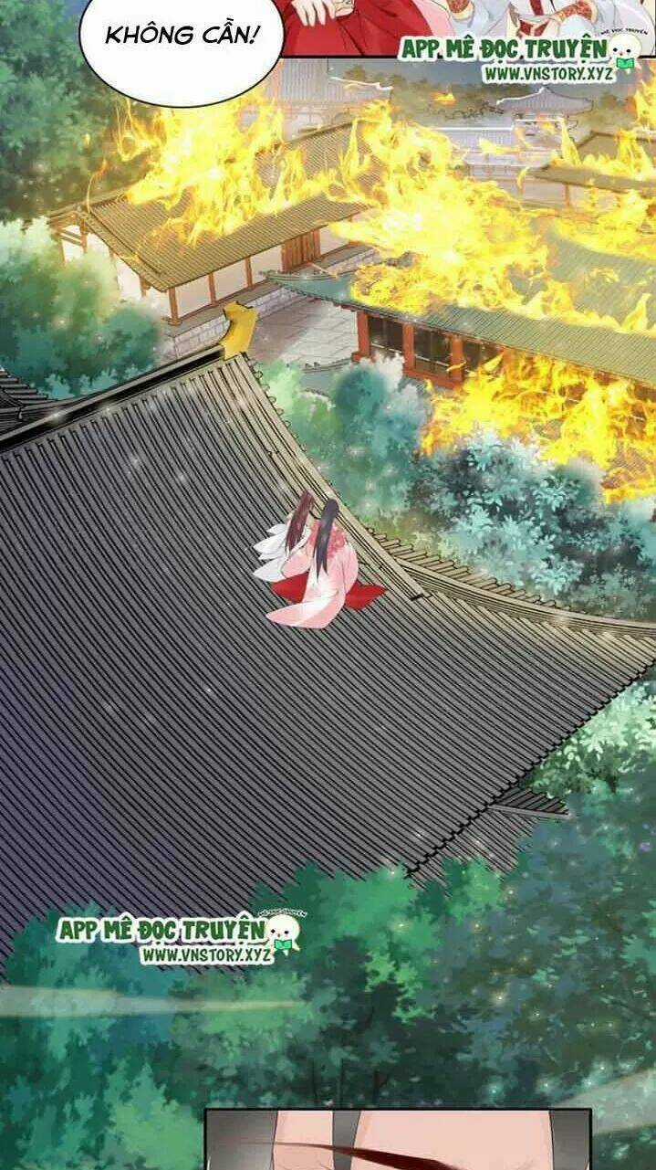 Nhất Sinh Nhất Thế Tiếu Thương Khung Chapter 62 trang 8