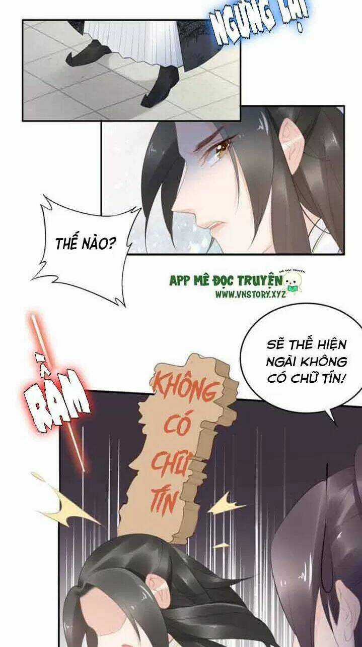 Nhất Sinh Nhất Thế Tiếu Thương Khung Chapter 64 trang 20