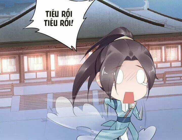 Nhất Sinh Nhất Thế Tiếu Thương Khung Chapter 65 trang 30