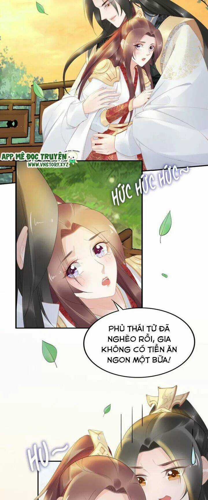 Nhất Sinh Nhất Thế Tiếu Thương Khung Chapter 71 trang 2