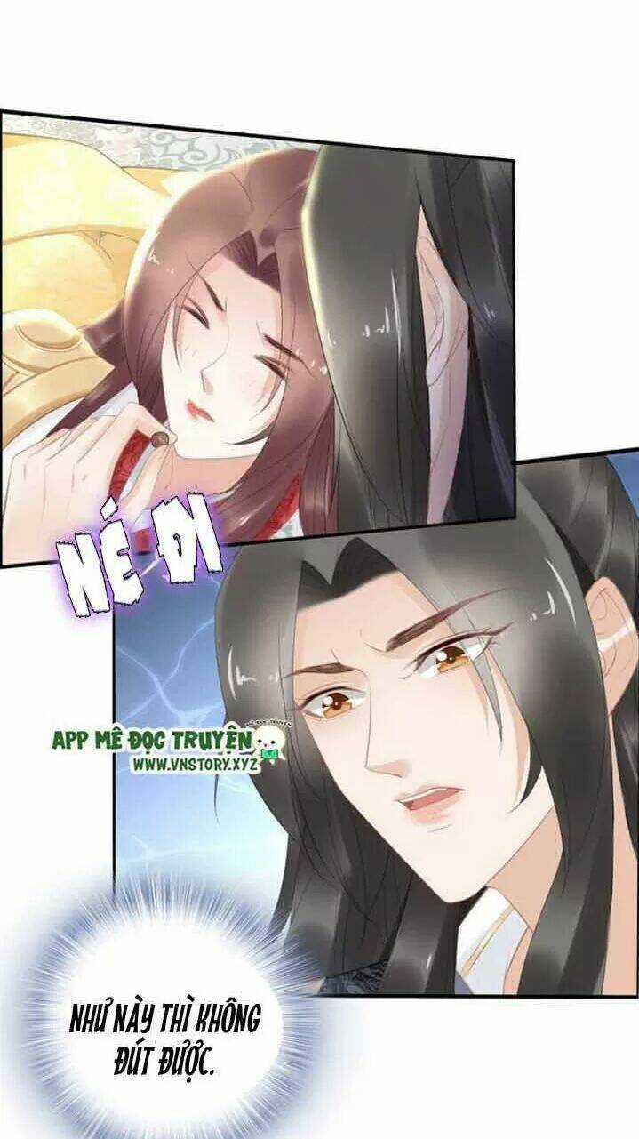 Nhất Sinh Nhất Thế Tiếu Thương Khung Chapter 74 trang 15