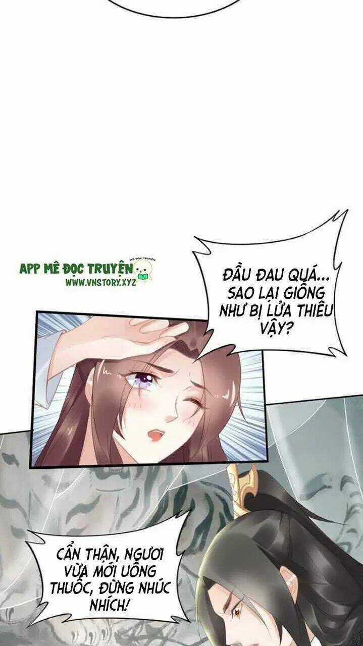 Nhất Sinh Nhất Thế Tiếu Thương Khung Chapter 74 trang 19