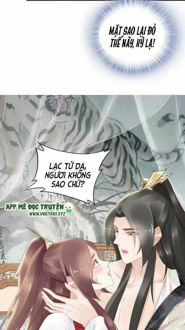 Nhất Sinh Nhất Thế Tiếu Thương Khung Chapter 74 trang 25