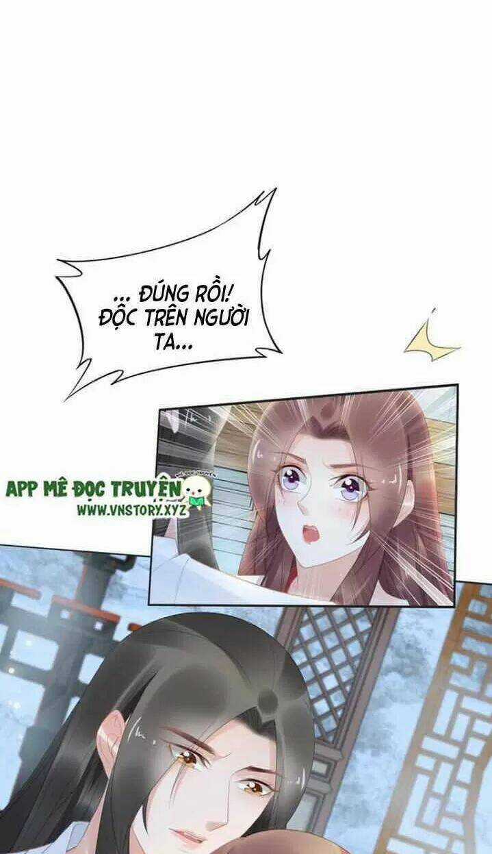 Nhất Sinh Nhất Thế Tiếu Thương Khung Chapter 75 trang 8