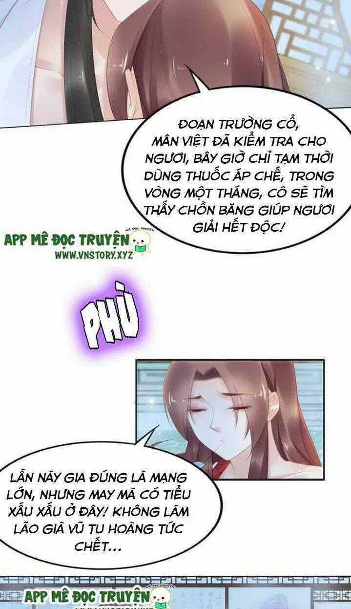 Nhất Sinh Nhất Thế Tiếu Thương Khung Chapter 75 trang 9