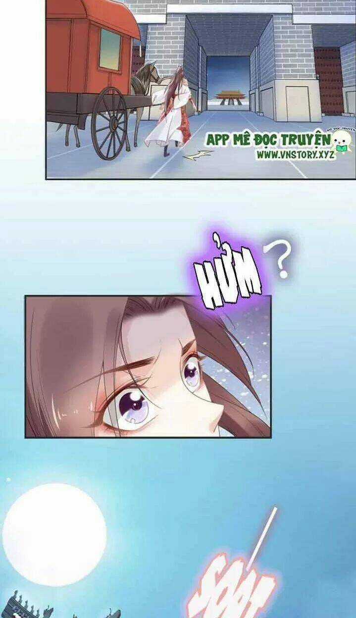 Nhất Sinh Nhất Thế Tiếu Thương Khung Chapter 81 trang 10