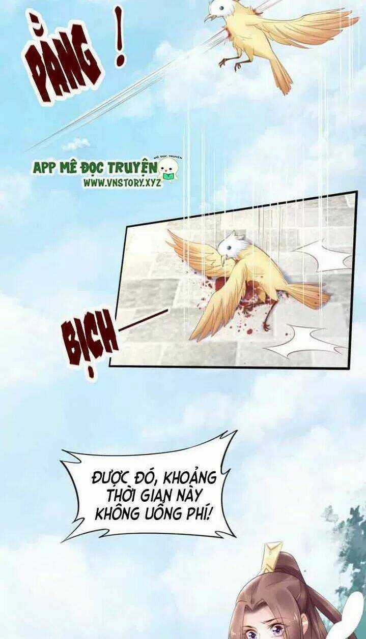 Nhất Sinh Nhất Thế Tiếu Thương Khung Chapter 82 trang 32